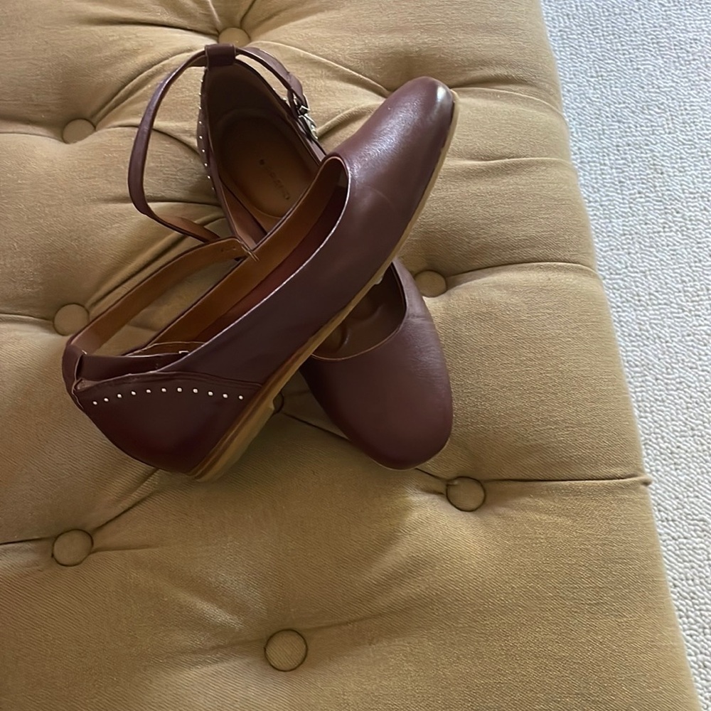 Lucky Brand Brown Flats with Classic Silhouette